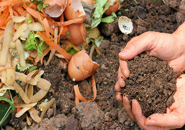 Naturally compostable! The latest bio-based appliance designed to disappear
